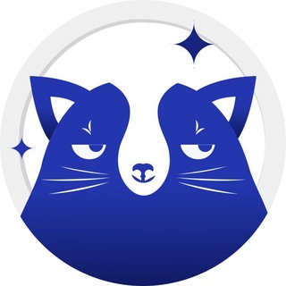 Логотип @dropcat_ru - Код логистики | dropcat.ru