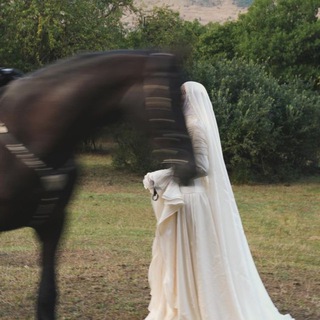 Логотип @drreamsl7 - Циᴛᴀᴛы чᴇчᴇнᴄᴋиᴇ🕊️