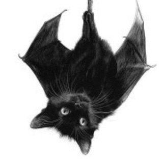 Логотип @drsfe1 - Манхэттен на минималках | ванга 🎆