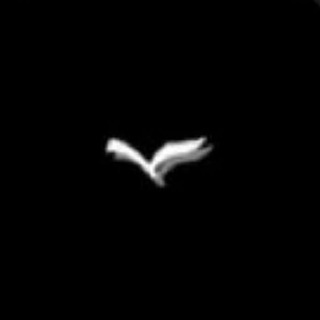 Логотип @drugaya_planeta1 - Другая планета🕊