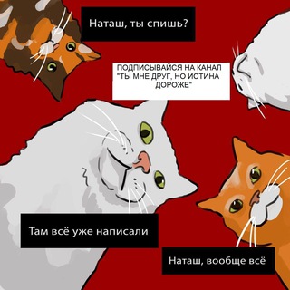 Логотип @drugistina7 - Ты мне друг, но истина дороже