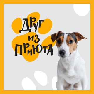 Логотип @drugizpriuta - Друг из приюта FABERLIC