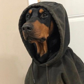 Логотип @drumxq - 🎧 Drum XQ | Territory of electronic vibE🎧