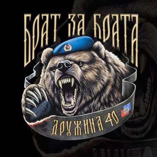 Логотип @druzhina_shit - Дружина - Русский Щит