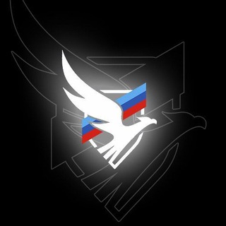 Логотип @druzhinalpr - Дружина Луганской Народной Республики