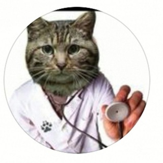 Логотип @druzhok_timka - Дружок Тимка Владивосток