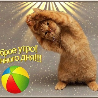 Логотип @druzyyaaa - Наша группа