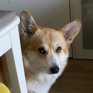 Логотип @drvalera - DrValera memes