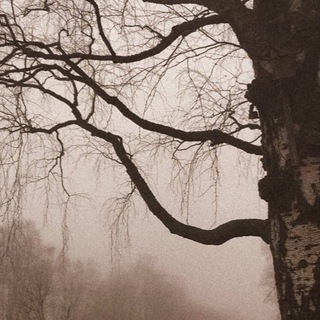 Логотип @dsbm_black_metal_konfa - DSBM Depressive Black Metal Chat