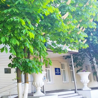 Логотип @dshi_rtishevo - ГБУ ДО "Детская школа искусств" им. В. В. Толкуновой