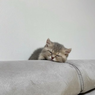 Логотип @dskudk - лабиринты ума