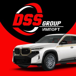 Логотип @dss_export - Авто из Кореи, Китая | DSS Group
