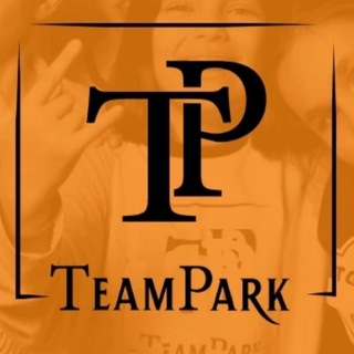 Логотип @dsteampark - ТимПарк - школа танцев ️