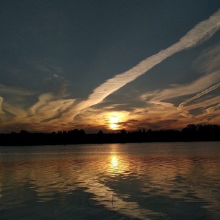 Логотип @dtp47rus - ⚡️ДТП и ЧП | Ленинградская область Он-Лайн | СПб 🇷🇺