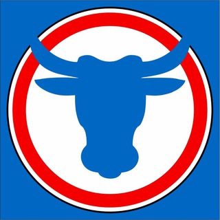 Логотип @dtp_chita - Lenta75.ru | ДТП