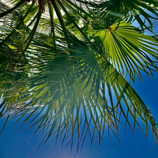 Логотип @dubai_icelatte - Дубайский айс латте