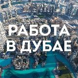 Работа в Дубае, поиск работы Dubai