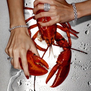 Логотип @dubaiadvise - Гедонизм в Дубае