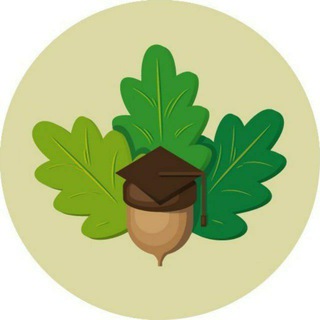 Логотип @dubki - Студенческий городок Дубки