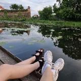 Логотип @dubno_search - dubno_search