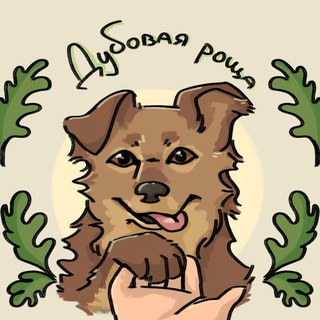 Логотип @dubovaia_roscha - Приют Для Собак "Дубовая Роща"