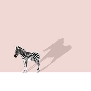 Логотип @duck_aydan - AB дак_aydan ТОЛЬКО РУЛОНАМИ. На отрез смотрите в чате НАЛИЧИЕ