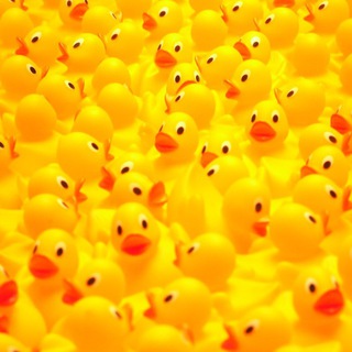 Логотип @duckparty - Duck Party 🇷🇸