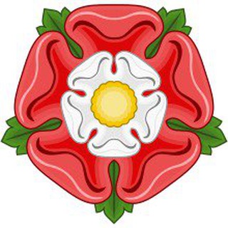 Логотип @duckseyes - currency of story is matrix of mystery