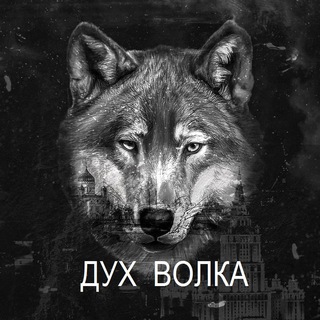 Логотип @duhvolka - Дух Волка