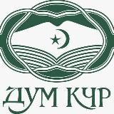 Логотип @dumkchr - …
