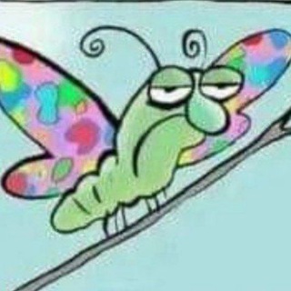 Логотип @dumnosti - Алёна Корнет - Думности 💖🎶