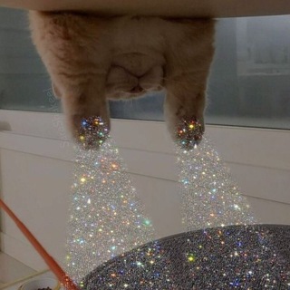 Логотип @dumpling_club - Бетонна галушка Chat