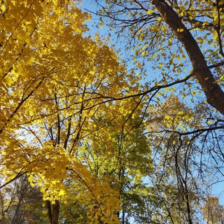 Логотип @dundgeonmaster - Master of none