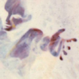 Логотип @durchdiekriseindiefreiheit - Durch die Krise in die Freiheit