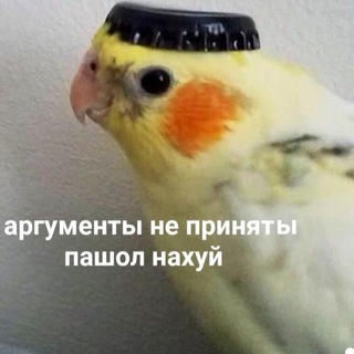 Логотип @durka_blet - Балтика 9