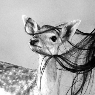 Логотип @durnoytrekx16 - ❤️‍🩹