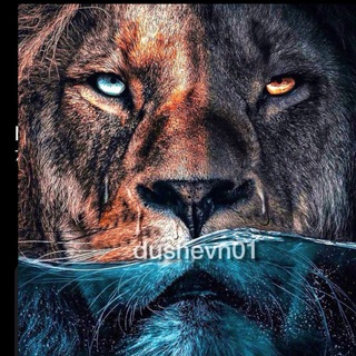 Логотип @dus_hevn01 - Мотивация | dushevn01 | Саморазвитие