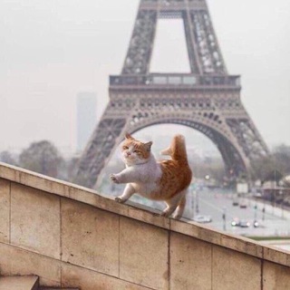 Логотип @dusha_poeta - Душа Поэта 💨