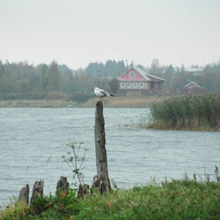 Логотип @dusha_rossii - Душа России. В изображениях и строчках.