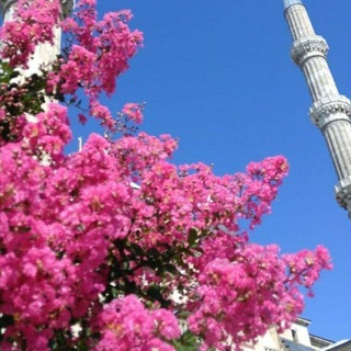 Логотип @dushavoitelya - حب✨