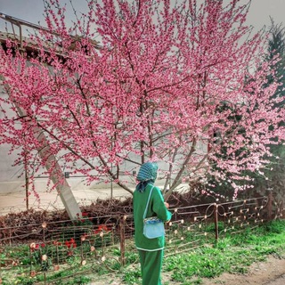 Логотип @dushdushu - Dusha🫀 в Dushu❤