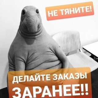 Логотип @dushevniy_raspiv1 - Группа для заказов Оригинал Парфюма . Пишите администратору в ЛС .