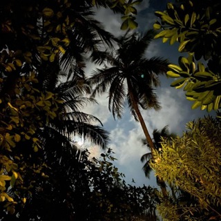 Логотип @dushevno030 - 🎧Dushevno🎧