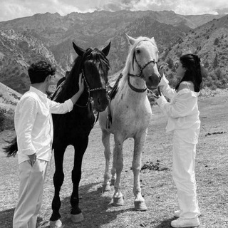 Логотип @dushevno_0007 - ❤️𝐀𝐦𝐨𝐫𝐞❤️