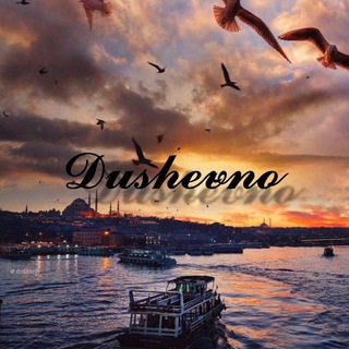 Логотип @dushevno_1809 - 🖤ᴅᴜsʜᴇᴠɴᴏ🖤