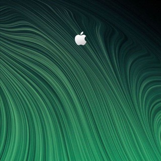 Логотип @dushevnoe_pm - Discussion chat🔓