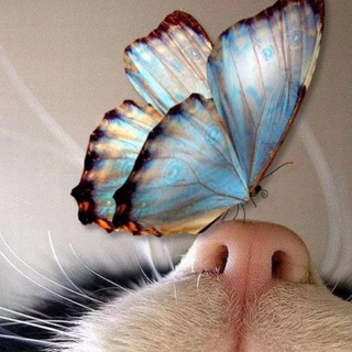 Логотип @dushevnyerasskazy - Душевные рассказы