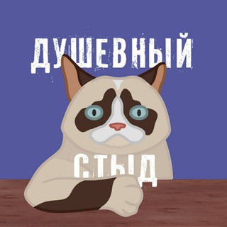 Логотип @dushevnystid - Душевный Стыд