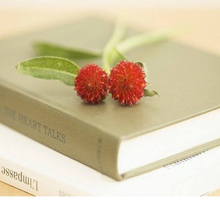 Логотип @dushufenxiang_chat - 读书分享