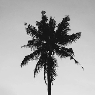 Логотип @dustdivision - 🏴ᴅᴜꜱᴛᴅɪᴠɪꜱɪᴏɴ🏴